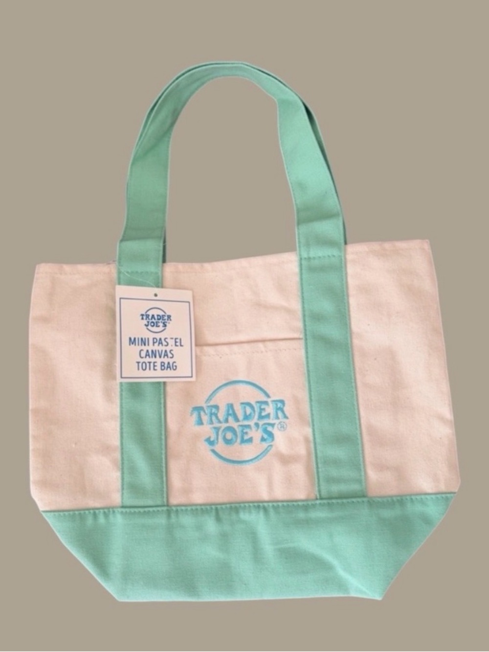 NWT Trader Joe’s mini pastel tote in green